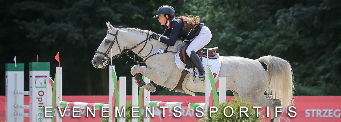 Evenements sportifs - cheval qui saute